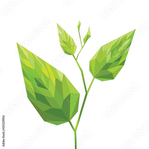 Pianta verde, foglia verdi geometriche, illustrazione vettoriale
