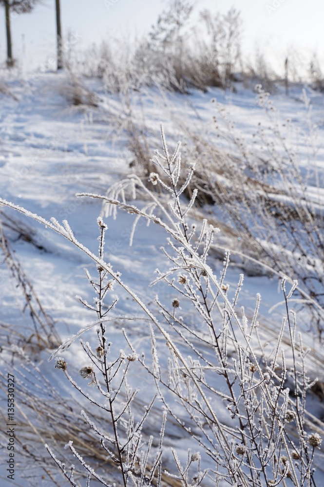 Winterlandschaft am zugefrorenen See - Hochformat Winterlandschaft am zugefrorenen See - Hochformat