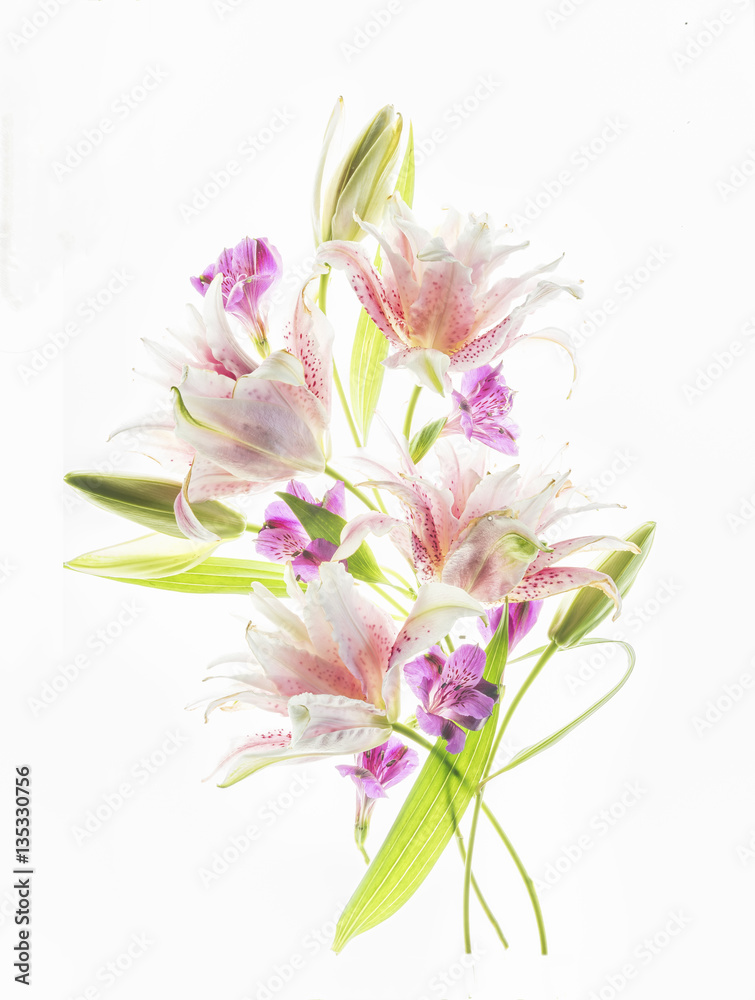 Lily and alstromeria Lily and alstromeria