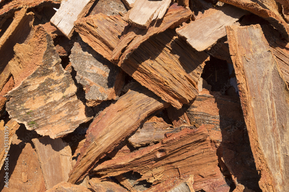 pile of cinnamon bark dried in the sun, aromatic spice made from rolled bark of a Southeast Asian tree pile of cinnamon bark dried in the sun, aromatic spice made from rolled bark of a Southeast Asian tree