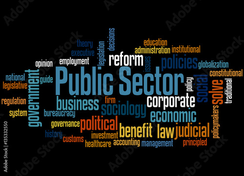 Public Sector, word cloud concept 2