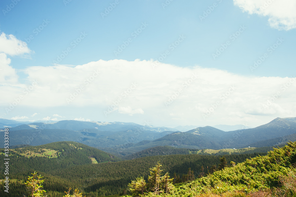 ukrainian carpathian mountains. Beautiful mountain landscape.