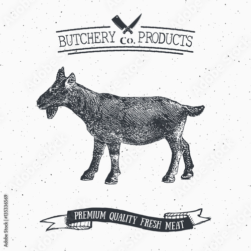 Butcher Shop vintage emblem goat meat products, butchery Logo template retro style. Vintage Design for Logotype, Label, Badge and brand design. vector illustration