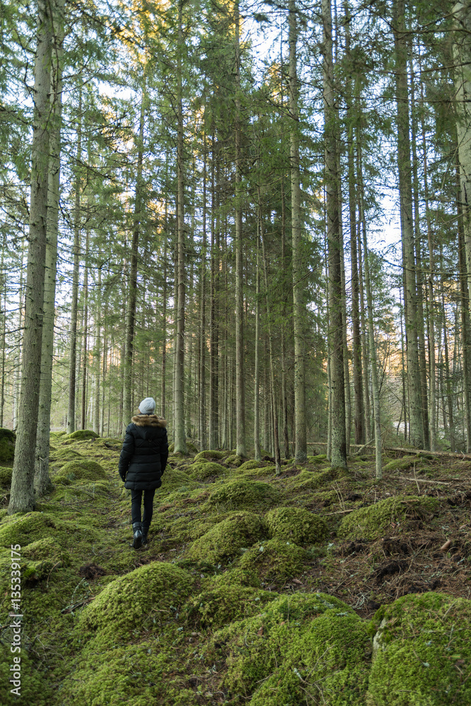 Walk in a mossy forest