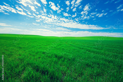 Green Field and Beautiful Sunset