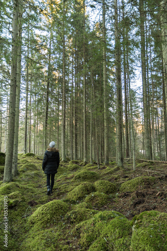 Walk in a mossy forest © olandsfokus
