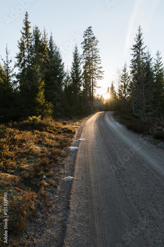 Evening sun by a gravel road