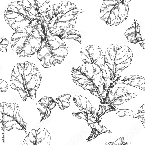 Hand Drawn Ficus Branch Pattern
