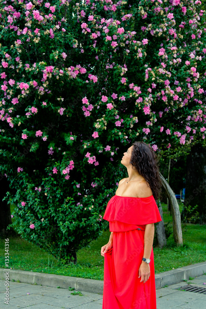 Brunette woman looking at the pink flowers on the bush. Woman in red dress near blossoming trees Brunette woman looking at the pink flowers on the bush. Woman in red dress near blossoming trees