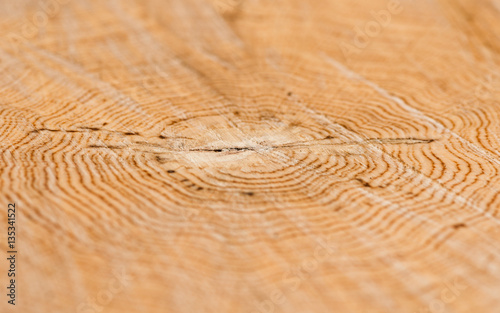 wood texture saw cut on