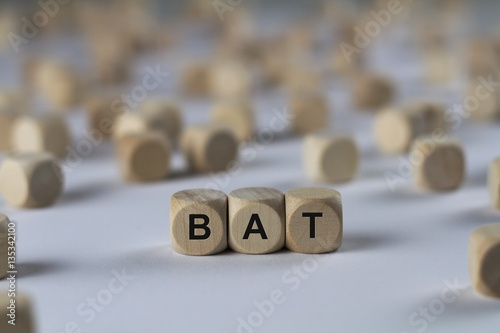 bat - cube with letters, sign with wooden cubes