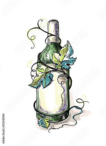 Watercolor bottle of wine in grape leaves in graphic style hand-drawn vector illustration.