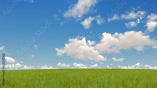 green grass and blue sky