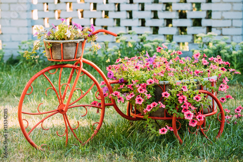 Decorative Vintage Model Old Bicycle Equipped Basket Flowers Garden. Toned Photo.