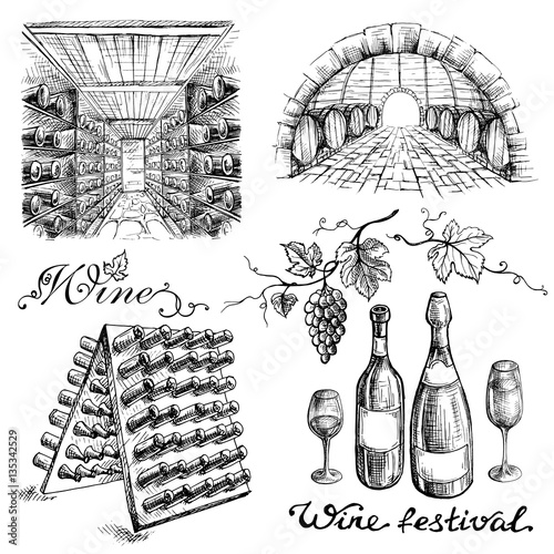 Set of wine bottles and barrels in winery or cellar in graphic style hand-drawn vector illustration
