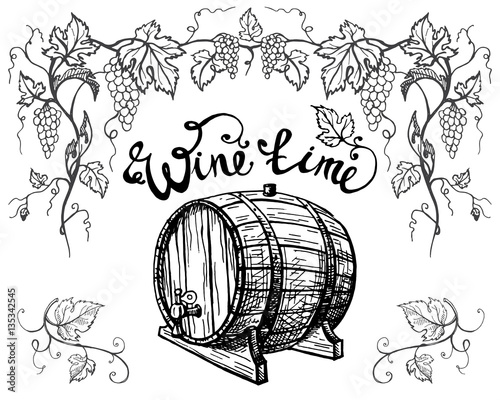 Grape branches and wine barrel isolated on white background in graphic style hand-drawn vector illustration
