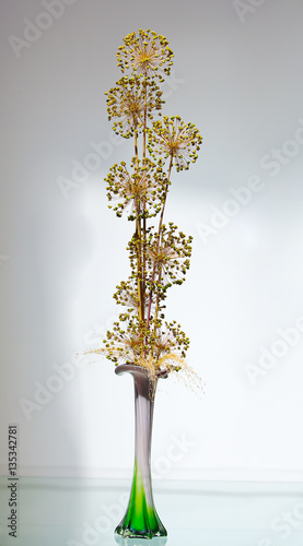 Ornamental Onion Allium in a vase
