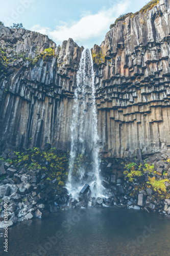 Svartifoss Waterfall in Iceland