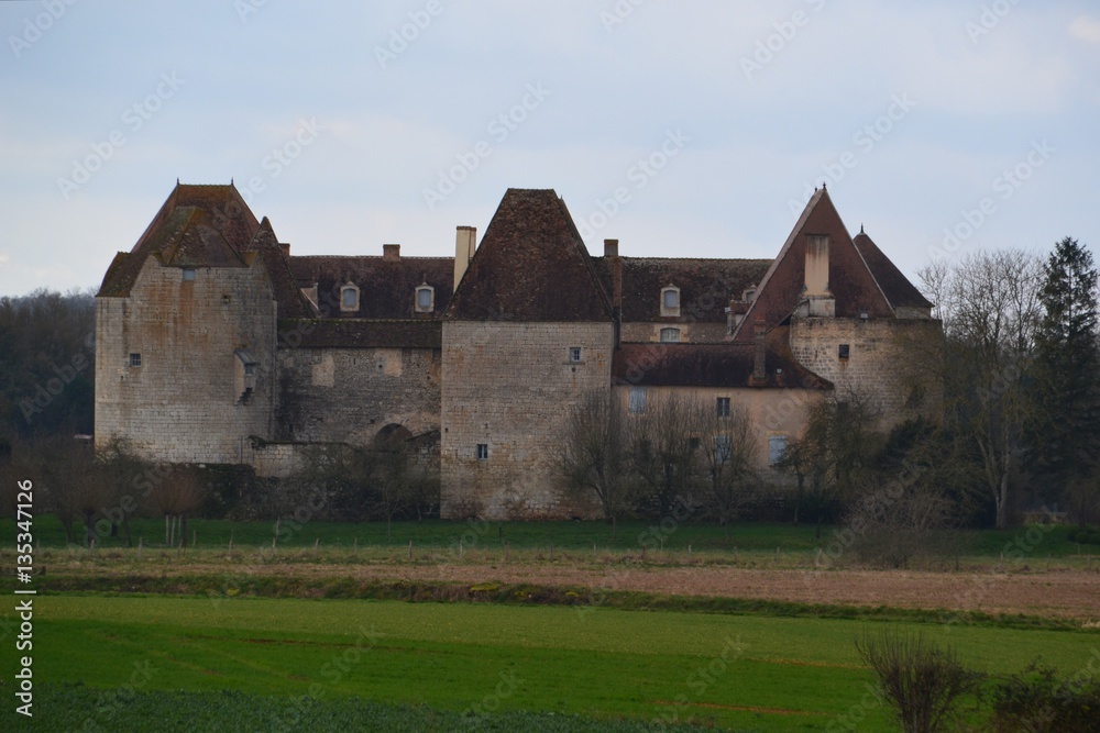 Château de la motte Josserant
