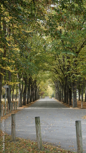 An empty road in early autumn season