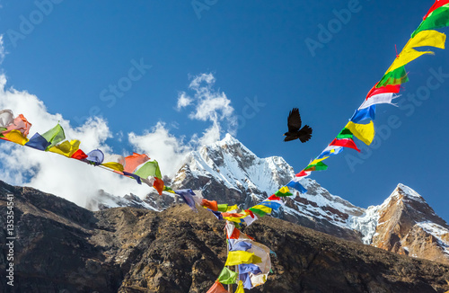 Bild auf Leinwand Bird flying in Sky between Nepalese prayer Flags in Himalaya