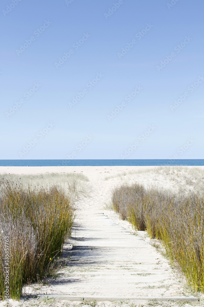 Beach view