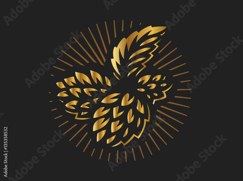 Golden hop - vector illustration, design on black background