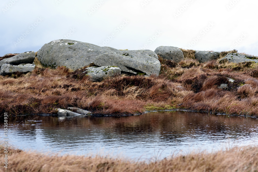 Fotografie Carrigvore summit - Wicklow Mountains - Ireland