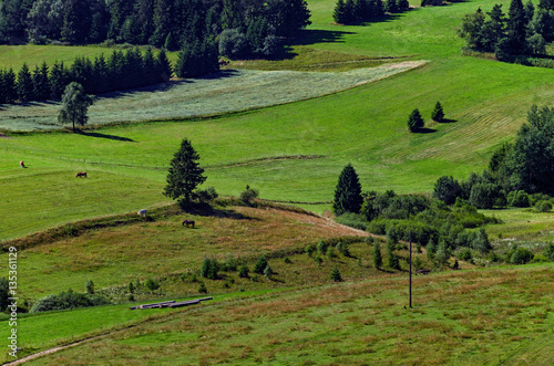 pastwiska górskie