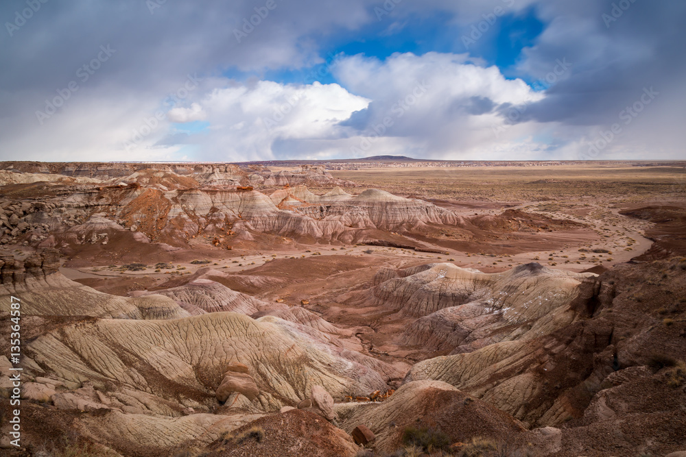 Fototapeta premium The Petrified Forest National Park in Arizona.