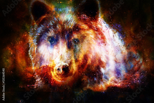 head of mighty brown bear in space, oil painting on canvas and graphic collage. Eye contact. photo