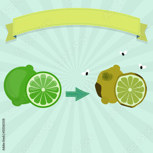 Rotten lime or lemon with flies and fresh lime. Blank ribbon for insert text.