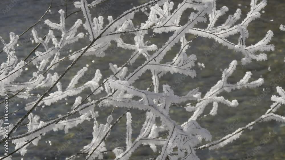 Frosty branches on the background of the flowing river water Frosty branches on the background of the flowing river water