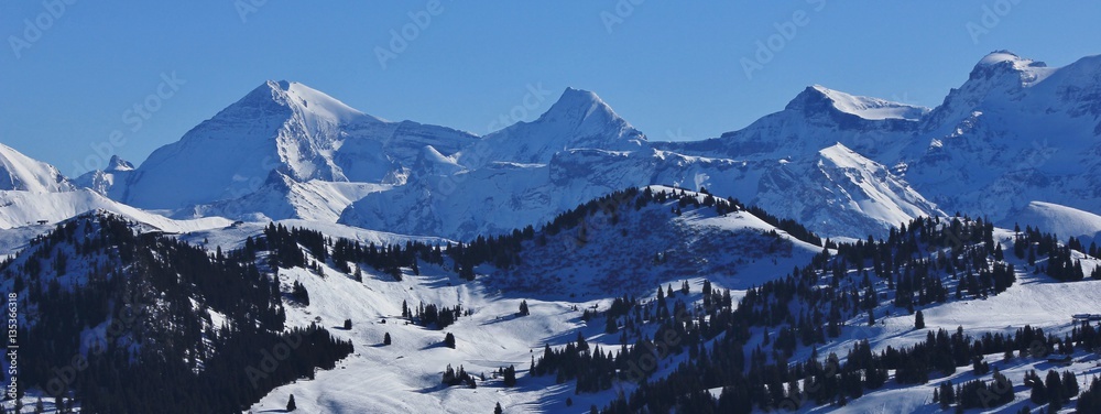Winter landscape in the Bernese Oberland, Switzerland