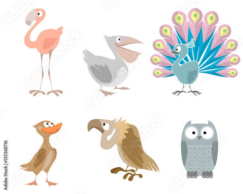 Six funny birds