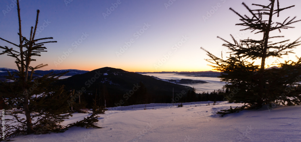 Path trail on winter sunset twilight white snow field with small frosty pines  top of mountain  the background  hills valley under colorful clouds Altai Mountains, Siberia, Russia