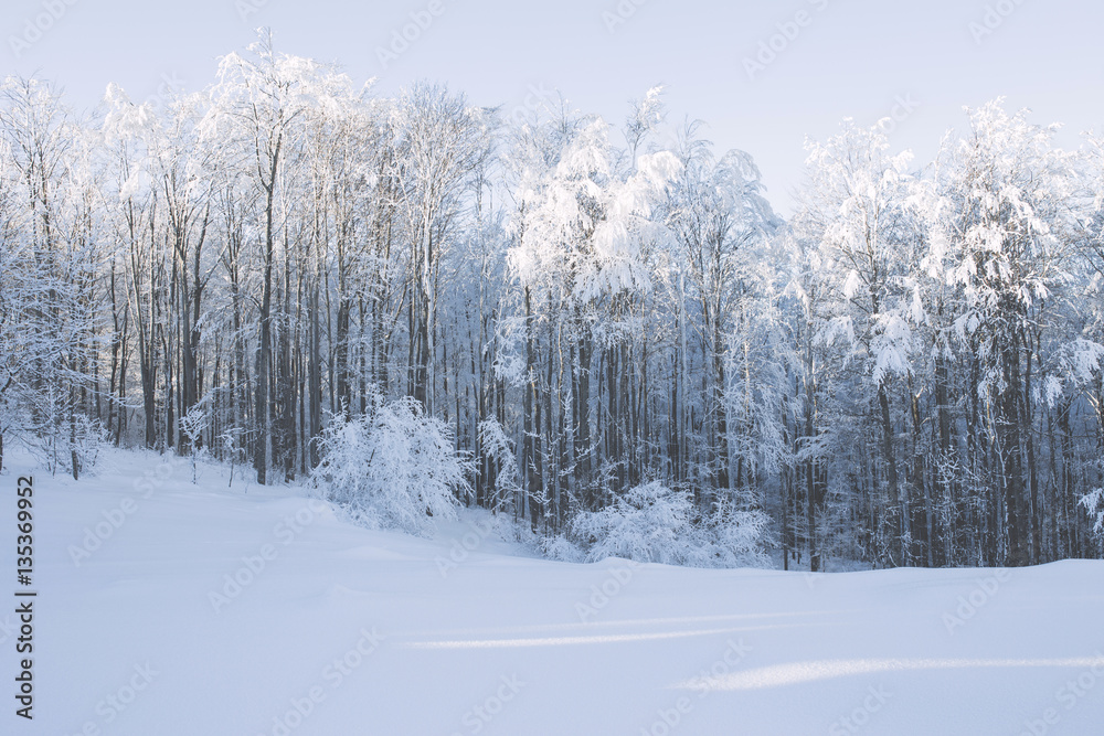 Winter snowy and foggy mountain landscape.