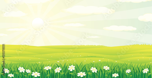 Scenic Summer Day Landscape. Vector Image