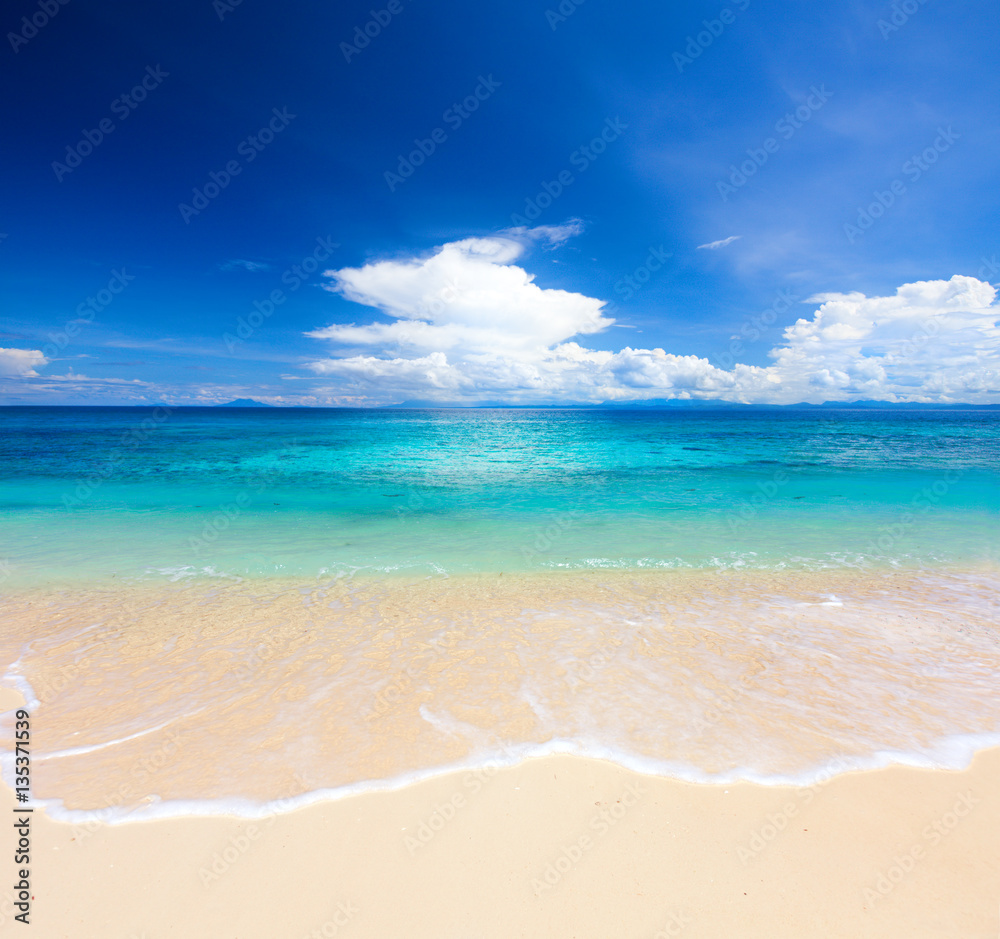 Fototapeta premium beach and tropical sea