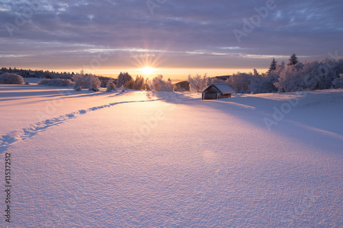 Golden sunlight over an idyllic white winter landscape with a little wooden hut in background © Alexander Erdbeer