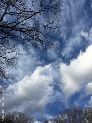 cold winter sky with clouds