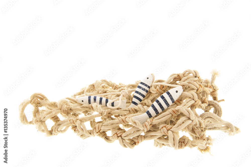 Fototapeta premium Fishing net with fish