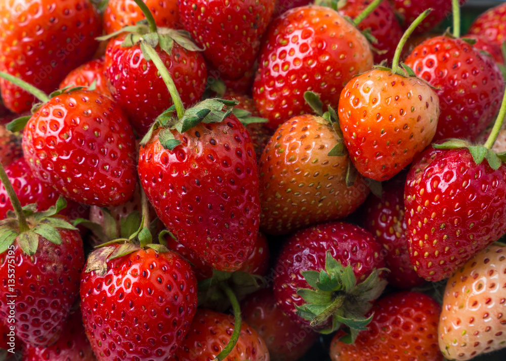 Fresh strawberry Fresh strawberry