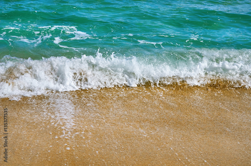 Sea Surf Sea Surf
