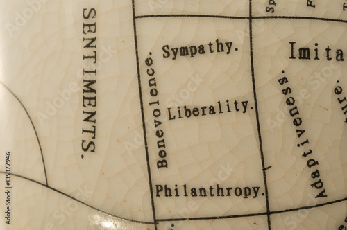 Fotografie phrenology II