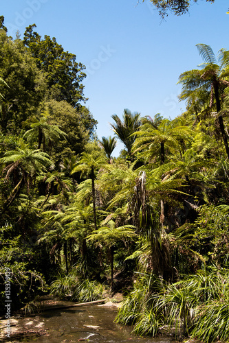 Wallpaper Mural Ponga landscape Torontodigital.ca