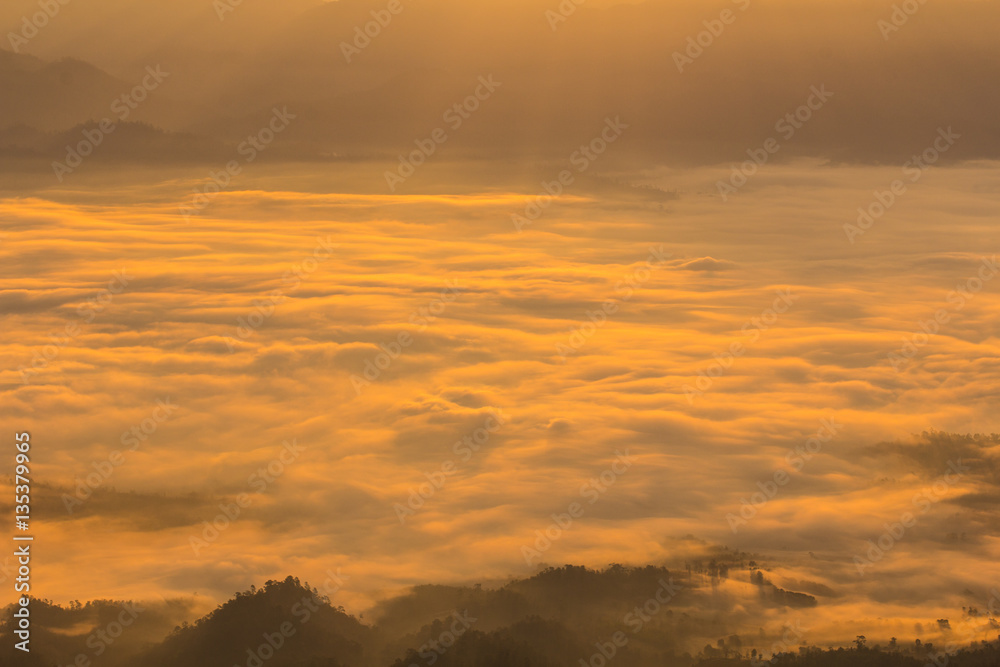 Morning View from Mountain, Pha Daeng National Park in Chiangmai