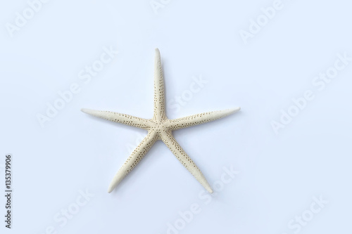 White Sea Star also known as a Star Fish isolated on a light blue background