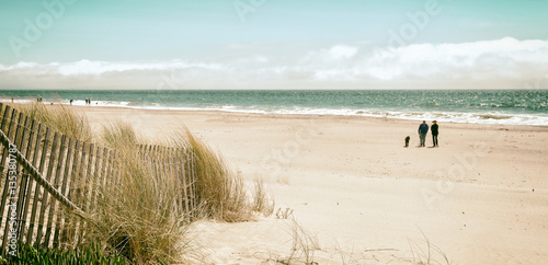 Beautiful white sand beach with dunes, sea grass, ocean and a few people. California