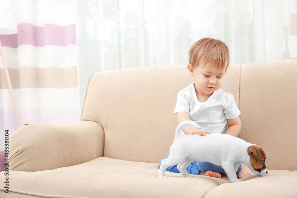 Cute little boy with puppy on sofa at home Cute little boy with puppy on sofa at home